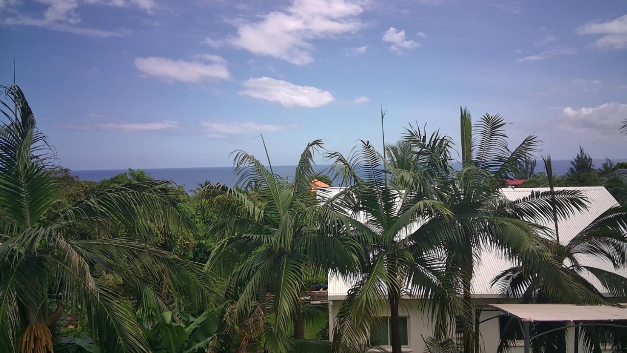 Un Petit Coin De Paradis A La Reunion Saint-Joseph Zewnętrze zdjęcie