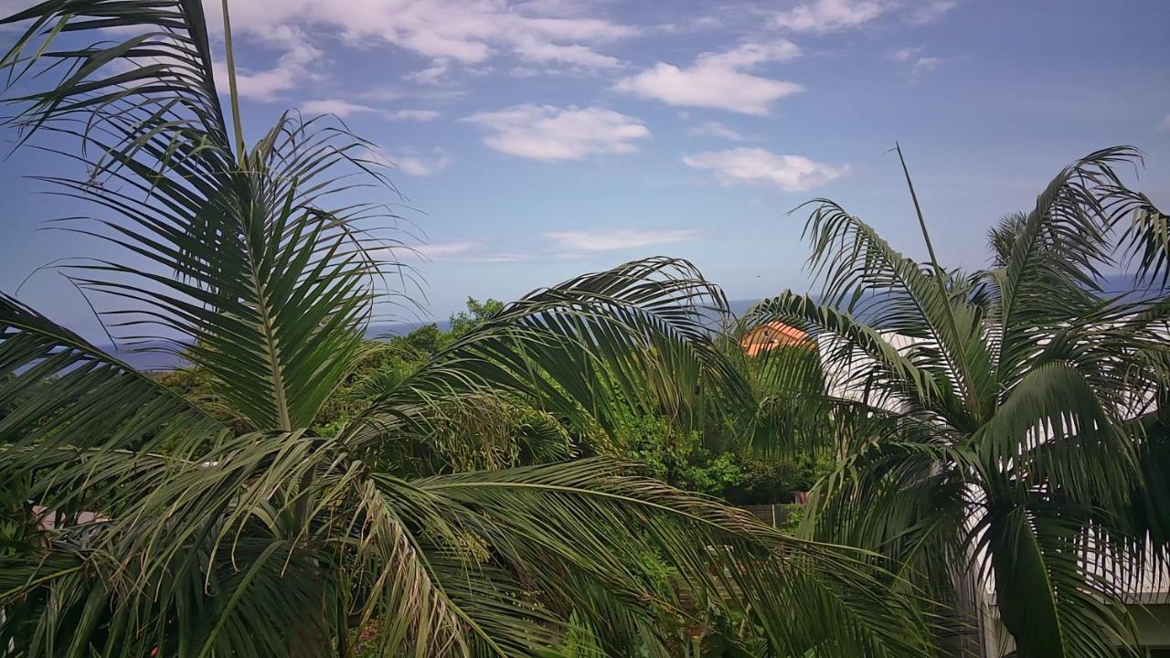 Un Petit Coin De Paradis A La Reunion Saint-Joseph Zewnętrze zdjęcie